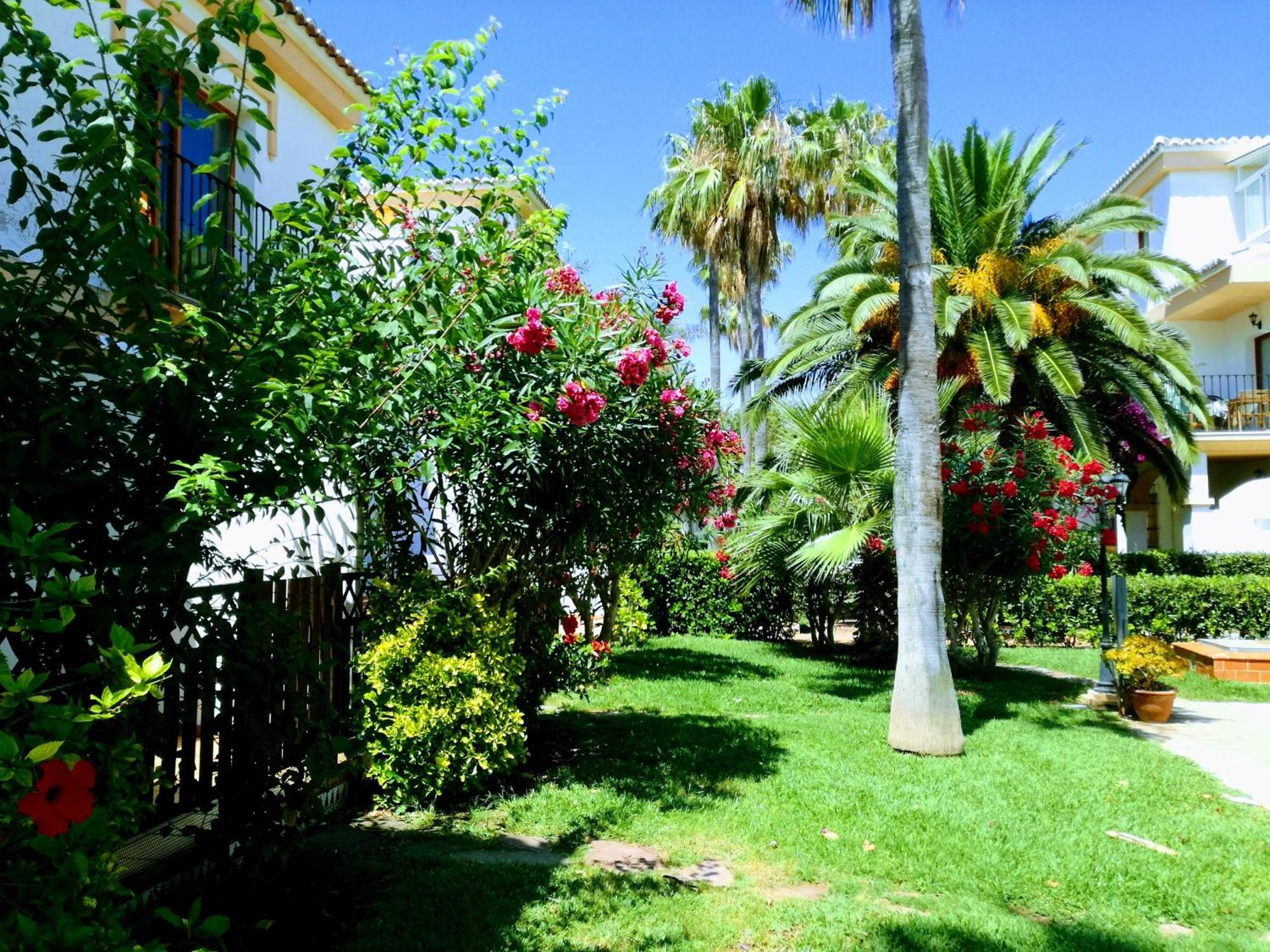 Planta Baja Con Porche Y Piscina, Cerca Del Mar Appartement Dénia Buitenkant foto